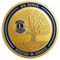 logo-ip